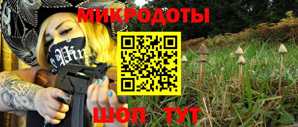 Галлюциногенные грибы ЛСД Северск